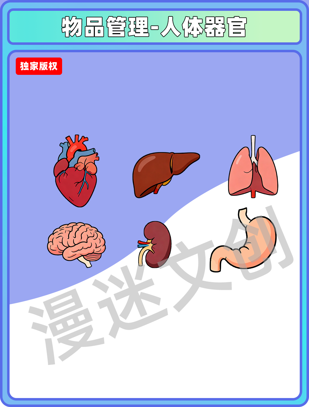 物品管理-人体器官